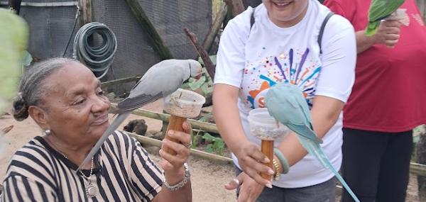 Fun Day at the Bird Farm 🕊️