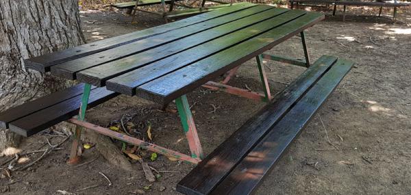 Painting & Planting for Young Achievers!