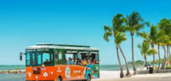 🚍 A Taste of Community with Faraja!