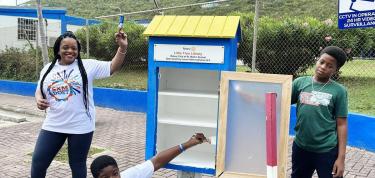 📚 Beautifying Free Little Libraries 🌟 
