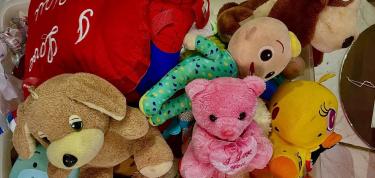 Freegan Kids Fun Day