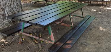 Painting & Planting for Young Achievers!